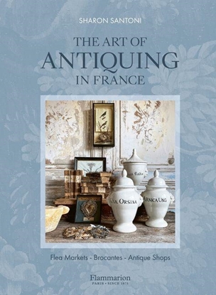 Afbeeldingen van The Art of Antiquing in France