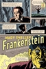 Afbeelding van Penguin Classics Deluxe Edition Frankenstein (Penguin Classics Deluxe Edition)