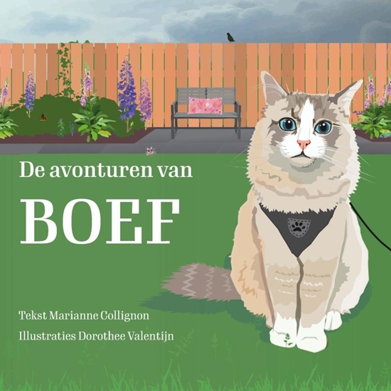 Afbeelding van De avonturen van Boef