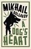 Afbeelding van A Dog's Heart: New Translation