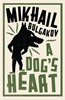 Afbeelding van A Dog's Heart: New Translation