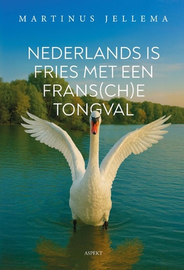 Afbeelding van Nederlands is Fries met een Frans(ch)e tongval