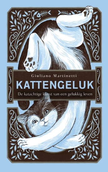 Afbeelding van Kattengeluk