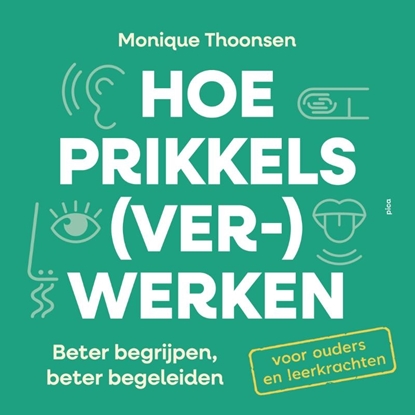 Afbeeldingen van Hoe prikkels (ver)werken