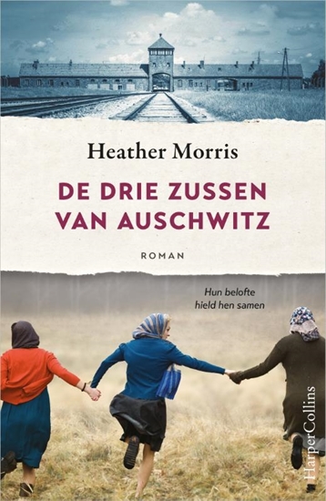 Afbeelding van De drie zussen van Auschwitz