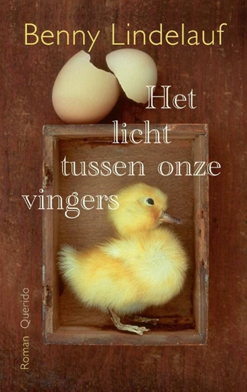 Afbeelding van Het licht tussen onze vingers