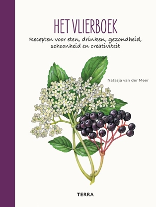 Afbeeldingen van Het vlierboek