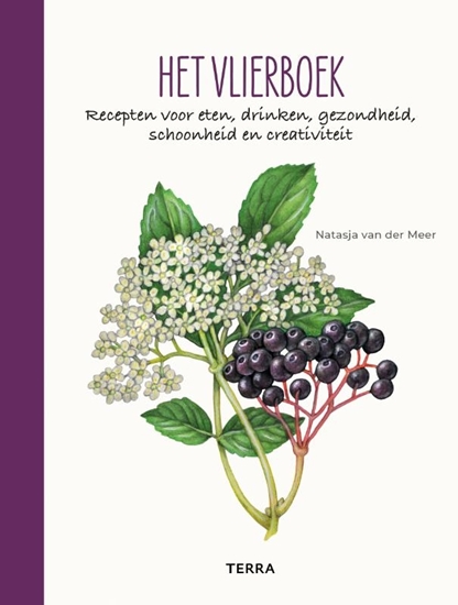 Afbeelding van Het vlierboek
