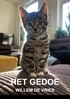 Afbeelding van Het gedoe