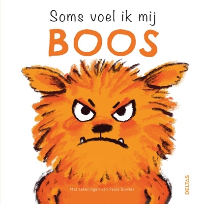 Afbeeldingen van Soms voel ik mij boos