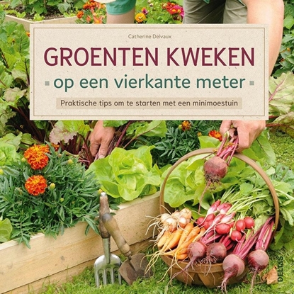 Afbeeldingen van Groenten kweken op een vierkante meter