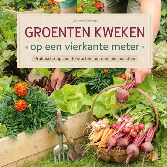 Afbeelding van Groenten kweken op een vierkante meter