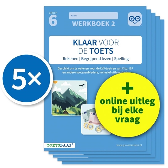 Afbeelding van Klaar voor de toets Groep 6 Werkboek 2