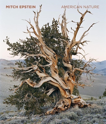 Afbeeldingen van Mitch Epstein