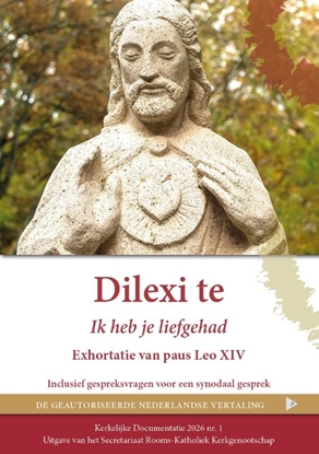 Afbeeldingen van Dilexi te, Ik heb je liefgehad