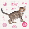 Afbeelding van De levensloop van een… Kat