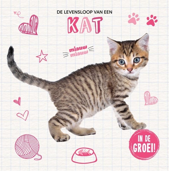 Afbeelding van De levensloop van een… Kat