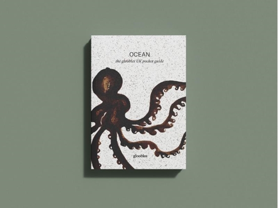 Afbeelding van OCEAN the gloobles UK pocket guide