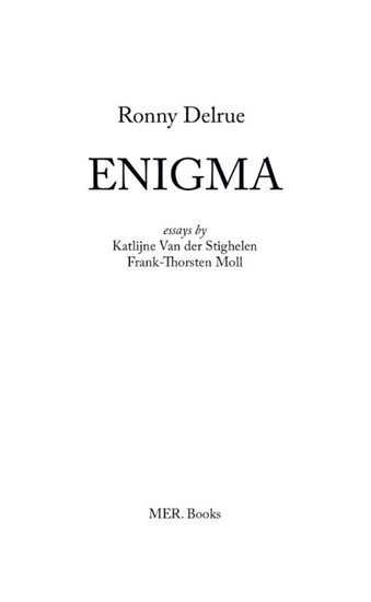 Afbeelding van Ronny Delrue. Enigma