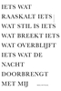 Afbeelding van Iets wat raaskalt iets wat stil is iets wat breekt iets wat overblijft iets wat de nacht doorbrengt met mij