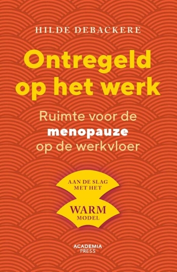 Afbeelding van Ontregeld op het werk