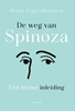 Afbeelding van De weg van Spinoza