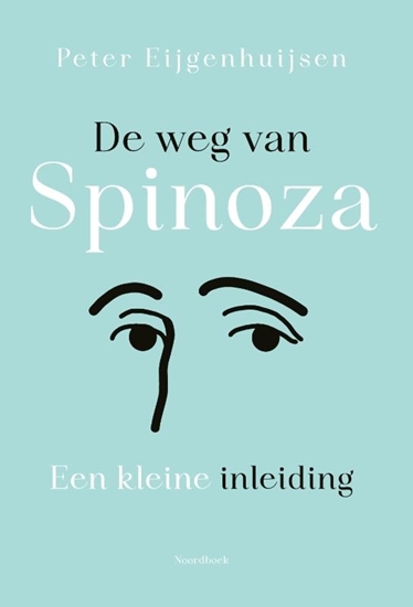 Afbeelding van De weg van Spinoza