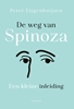 Afbeelding van De weg van Spinoza