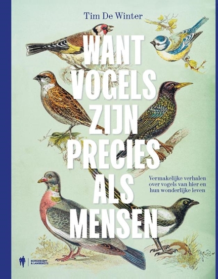 Afbeelding van Want vogels zijn precies als mensen
