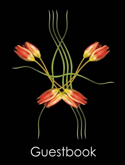 Afbeelding van Guestbook Double Dutch Tulips