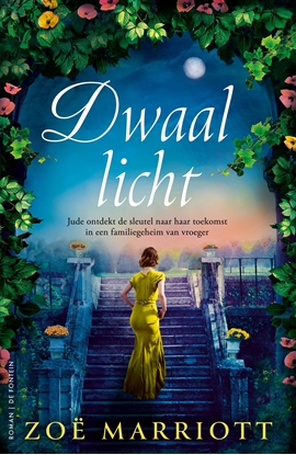 Afbeeldingen van Dwaallicht