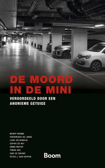 Afbeelding van Gerede Twijfel De moord in de Mini