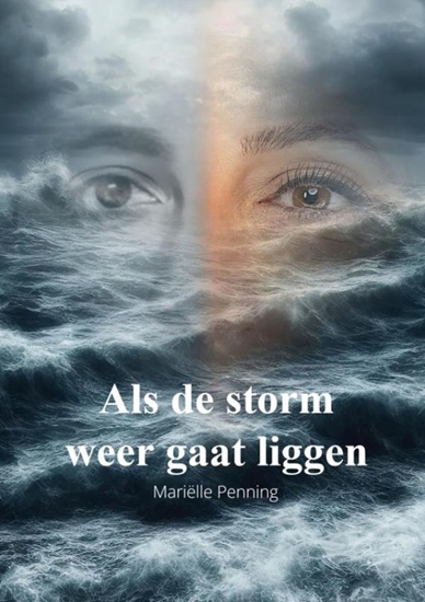 Afbeelding van Als de storm weer gaat liggen