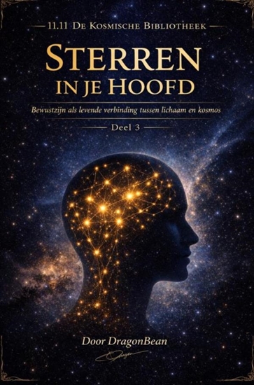 Afbeelding van Sterren in je Hoofd