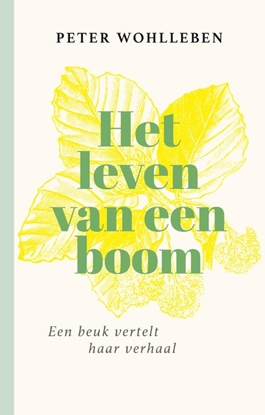 Afbeeldingen van Het leven van een boom