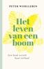 Afbeelding van Het leven van een boom