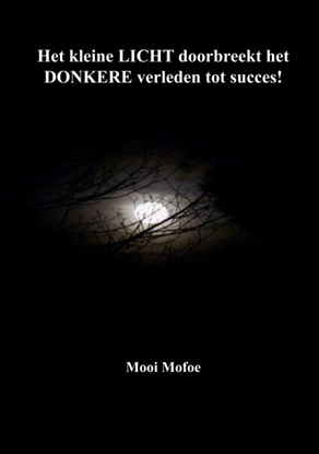 Afbeeldingen van Het kleine LICHT doorbreekt het DONKERE verleden tot succes!