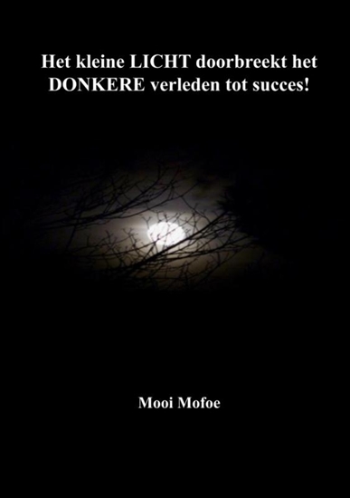 Afbeelding van Het kleine LICHT doorbreekt het DONKERE verleden tot succes!