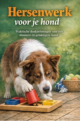 Afbeeldingen van Hersenwerk voor je hond