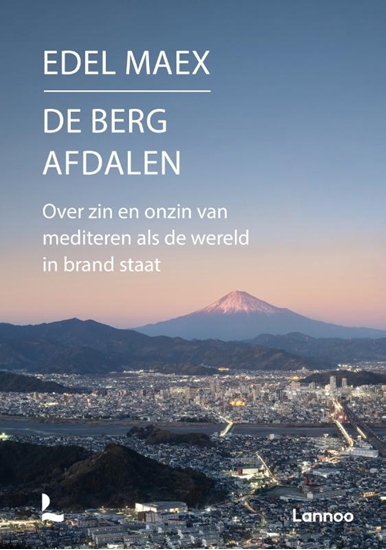 Afbeelding van De berg afdalen