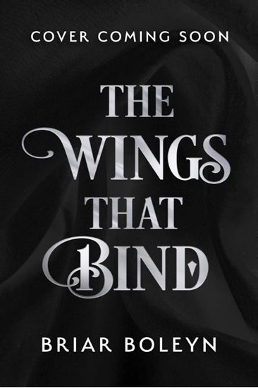 Afbeelding van Bloodwing Academy The Wings That Bind