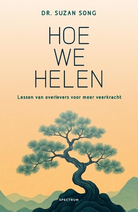 Afbeeldingen van Hoe we helen