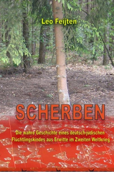Afbeelding van SCHERBEN