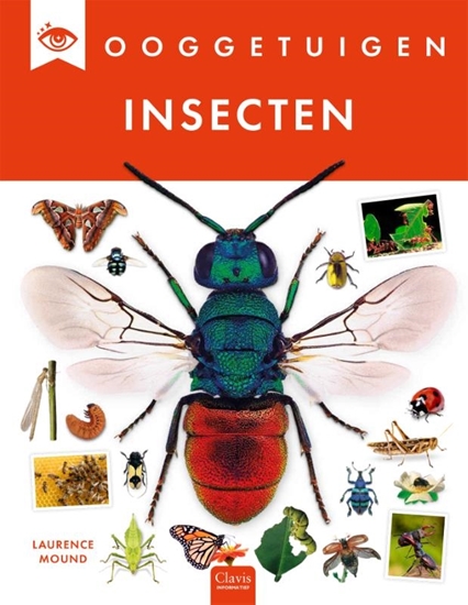 Afbeelding van Ooggetuigen Insecten