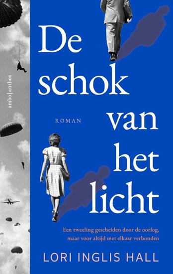 Afbeelding van De schok van het licht