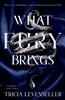 Afbeelding van What fury brings