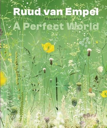 Afbeeldingen van Ruud van Empel