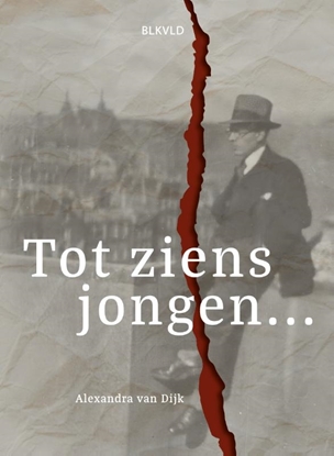 Afbeeldingen van Tot ziens jongen...