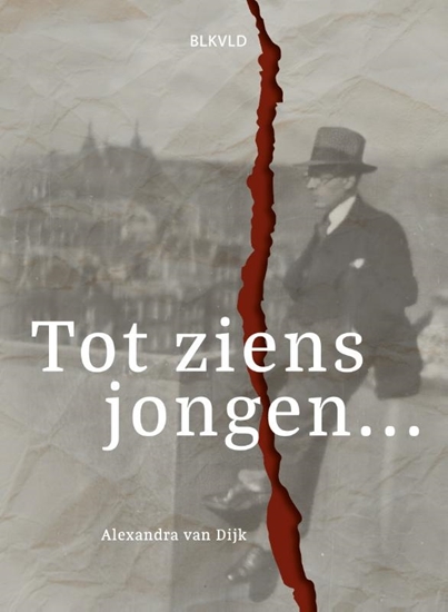 Afbeelding van Tot ziens jongen...