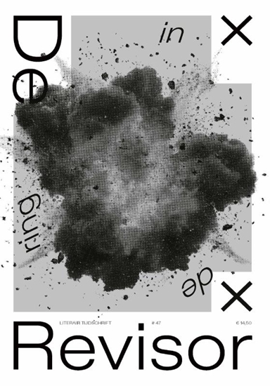 Afbeelding van Revisor 47